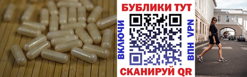 купить  сайты  Электросталь  ЭКСТАЗИ диски 