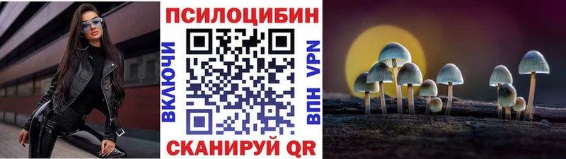 Псилоцибиновые грибы MAGIC MUSHROOMS Электросталь