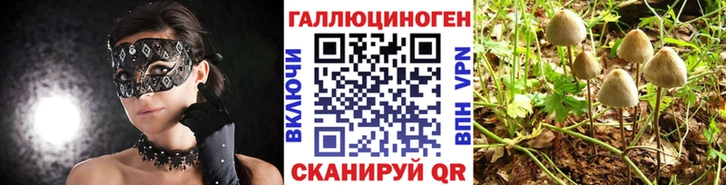 Псилоцибиновые грибы прущие грибы  Электросталь 